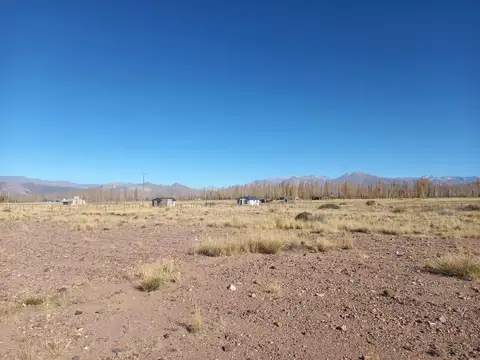 Ruta 149