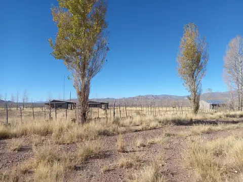 Terreno en Venta de 4000,0 m2