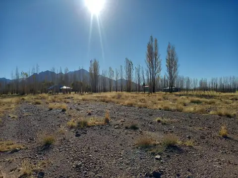 Ruta 149