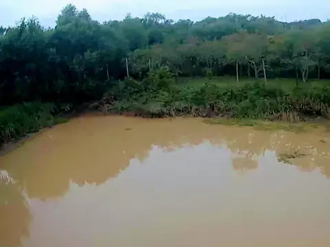 Lote 31ha venta s/rio, 2da sección Delta Islas Paraná Palma