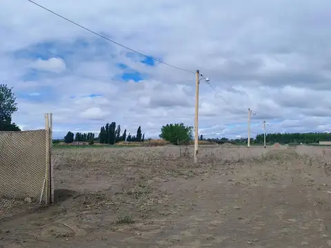 Paraná 100