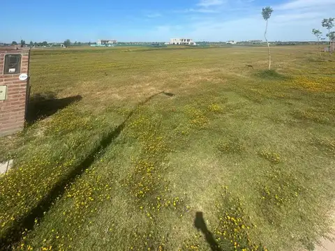 Avenida de Los Lagos al 100