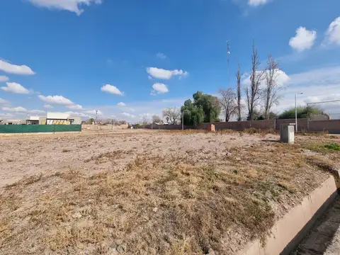 Terreno en Venta de 350,0 m2