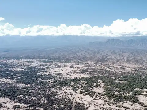 VENTA 2910 HECTAREAS- LA BANDA- V. CASTELLI