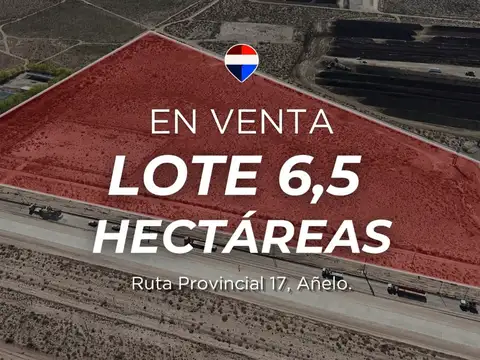 Venta lote 6.5 ha añelo
