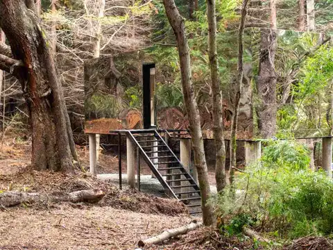 VENTA DE CASAS EN EL BOSQUE KM 20