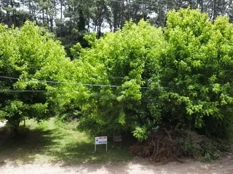 Terreno en Venta en Mar Azul, Partido de Villa Gesell