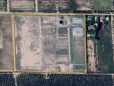 CEFERINO DE TIERRA 500