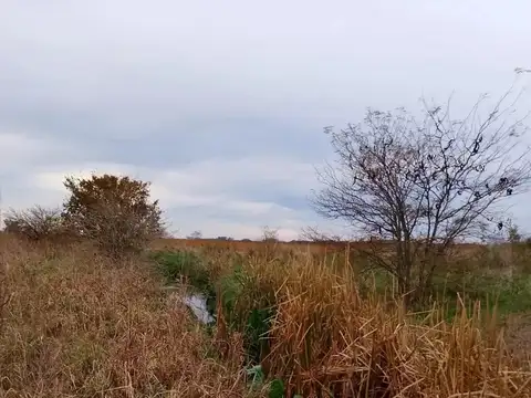 Campo en Venta -  - 34000000mts - Arrecifes