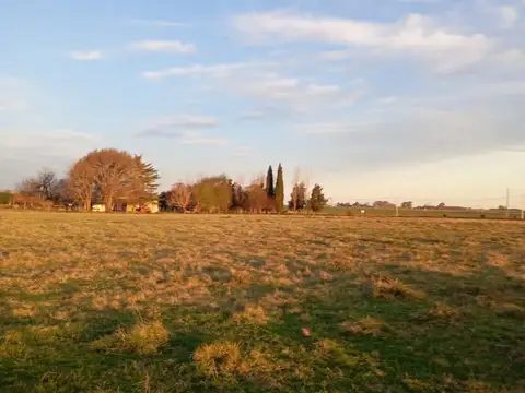 Terreno 12.500 m² sobre Autopista 8 y Miguel Cané, Pergamino