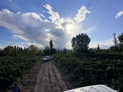 Cochabamba 9500