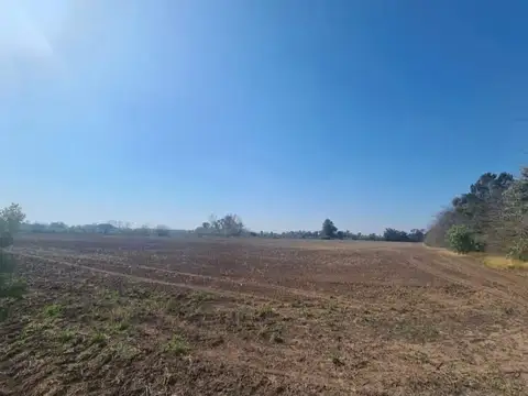 Campo de 6.2 Has agrícolas en venta a mts de la Ruta Nº6 – Lujan