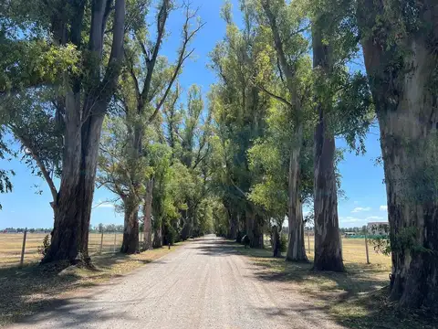 Terreno en Venta en Los Tres Pinos, Countries y Barrios Cerrados en General Rodriguez