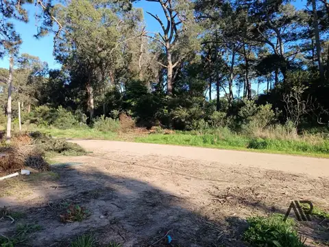 Terreno en Venta 40  mts Frente