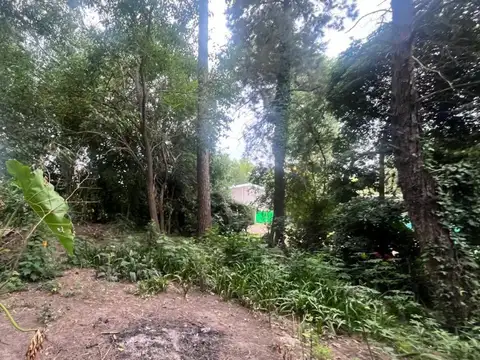 NAMUNCURA 800