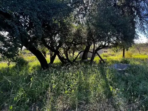 VENTA casa a remodelar y lotes Las Taspias Traslasierra