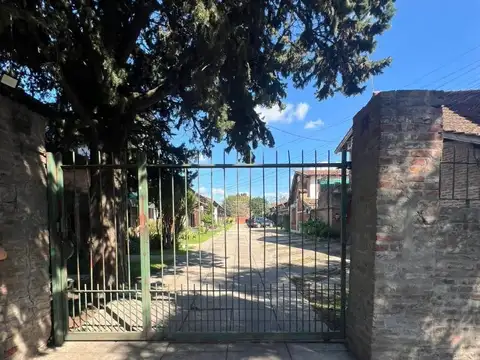 Ventura Alegre 500