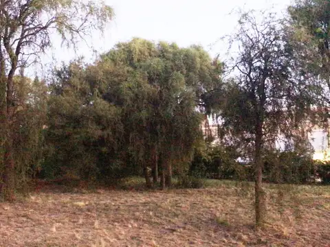 Terreno - Venta - Argentina, San Luis