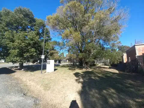 149 entre 34 y 36 - San Carlos - LA PLATA 100