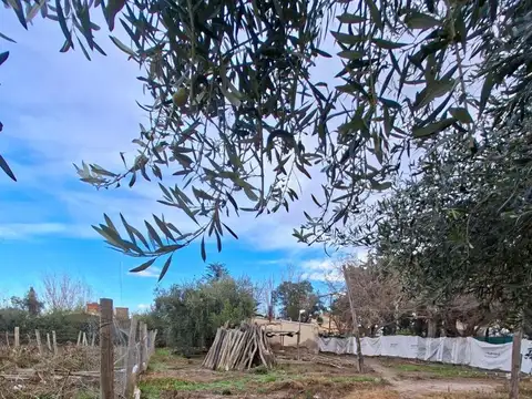 FINCA