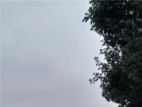 Tratado Del Pilar 100