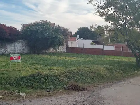 sul xolar 100, Piso 0