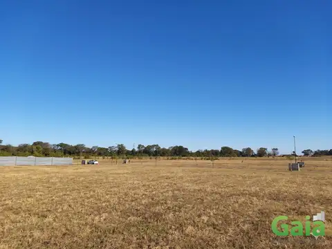 TERRENO EN VENTA SAN LORENZO CHICO - LA ARBOLADA