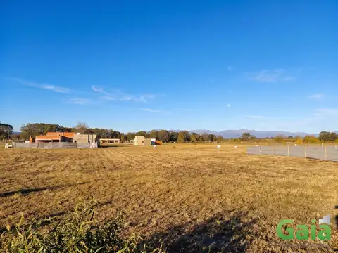 Terreno en Venta 40  mts Fondo