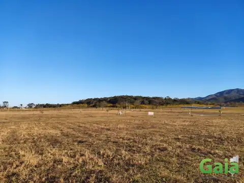 TERRENO EN VENTA EN LA ARBOLADA