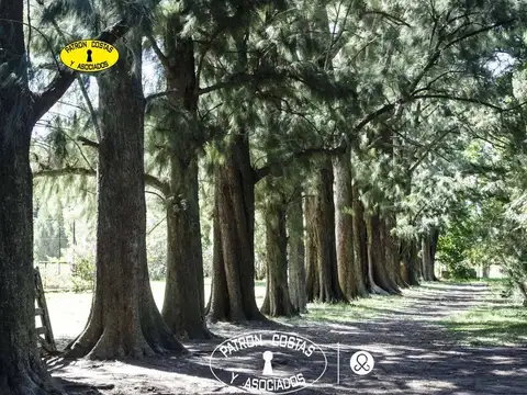 Campo Chacra en venta en Open Door Pileta