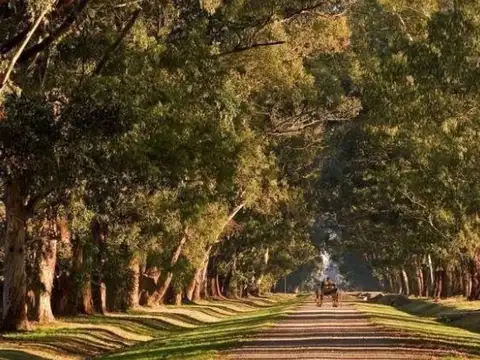 Terreno en Venta en Estancia Villa Maria, USD 29.000