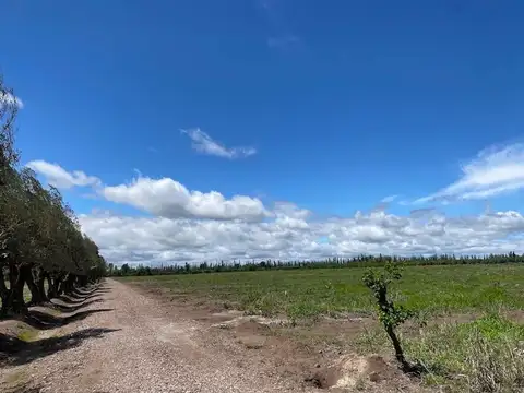 VENTA LOTE ALTO VERDE SAN MARTIN