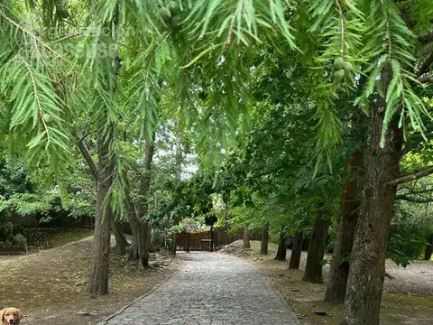 Lucero del Alba Solanas