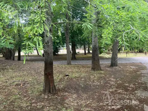 Lucero del Alba Solanas