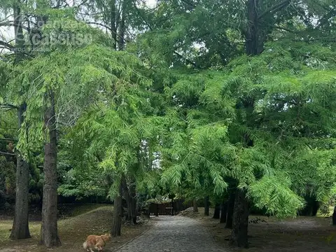 Terreno en Venta en Punta Ballena, USD 3.900.000