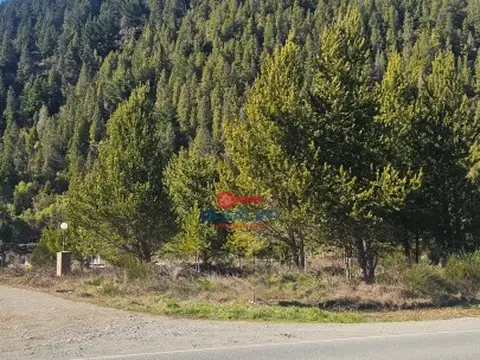 Lotes sobre ruta ingreso a Lago Puelo