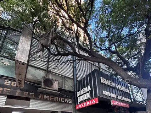 bajamos precio!INMEJORABLE ZONA  sobre PEATSAN MARTIN AL100