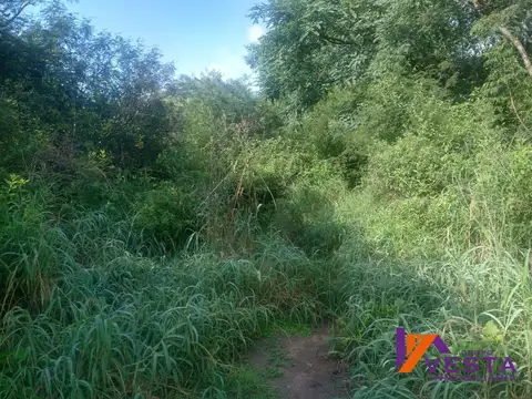 Zona Oeste-ideal Inversion-4.1 Hectarea-venta 100