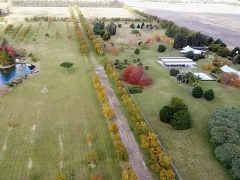 Casa monoambiente en alquiler temporario en el campo a 14 km. de Capilla del Señor
