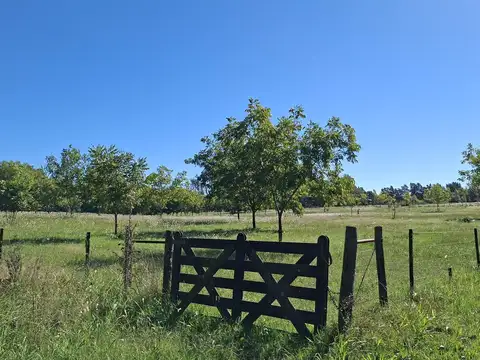Casa en Alquiler Temporal en Zarate, Partido de Zárate