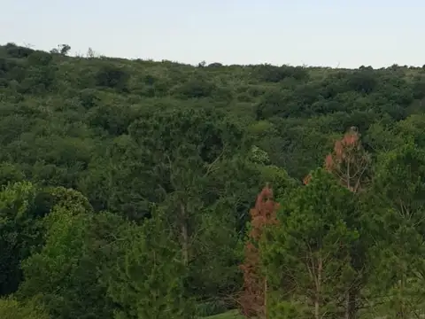 BARRIO CERRADO EL BUEN AIRE-ASCOCHINGA 11100