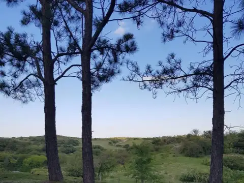 Terreno en Venta de 3600,0 m2