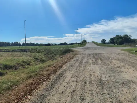 Campo en Venta Agrícola
