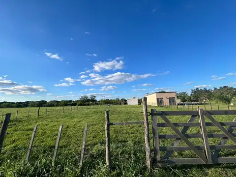 Terreno en venta en colonia carolina