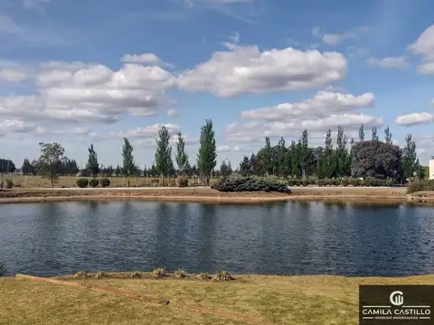 horizontes al 100