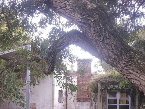 Exclusiva Quinta de 1 ha en B° Caima-D Orijón