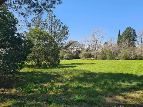Terreno en Venta de 10000,0 m2