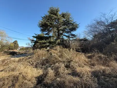 Terreno en Venta de 587,0 m2