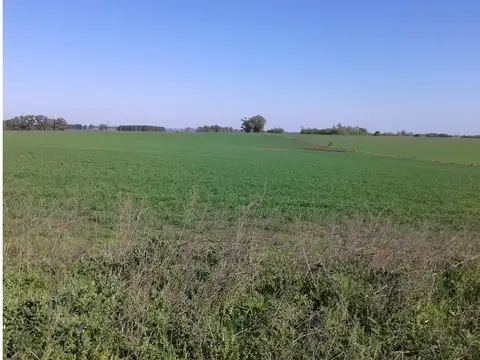 Sobre Camino Viejo San Justo A 5000 Mts Autovia 14