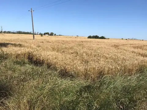 Paraje San Roque, Km. 233 Ruta 21